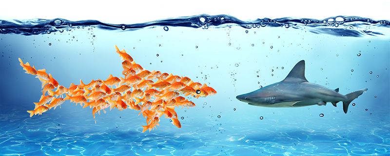 Microservices today and tomorrow_2.jpg Microservices today and tomorrow_2.jpg