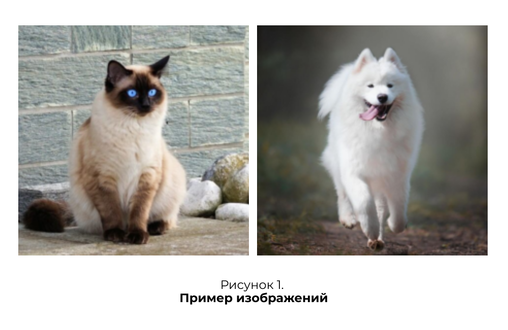 Ил 1.png